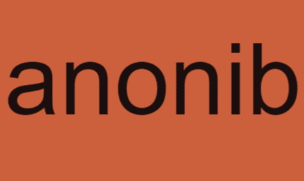Anonib: Exploring the Dynamics of Anonymous Online Communities