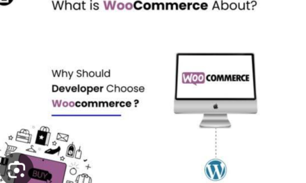 Why Should You Choose a WooCommerce Expert for Development