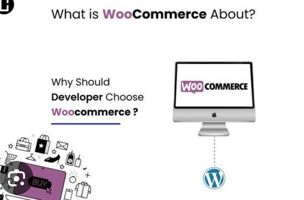 Why Should You Choose a WooCommerce Expert for Development